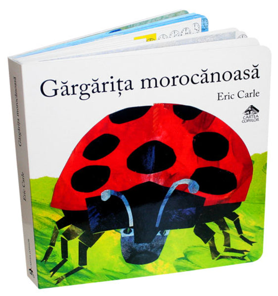 Gargarita morocanoasa