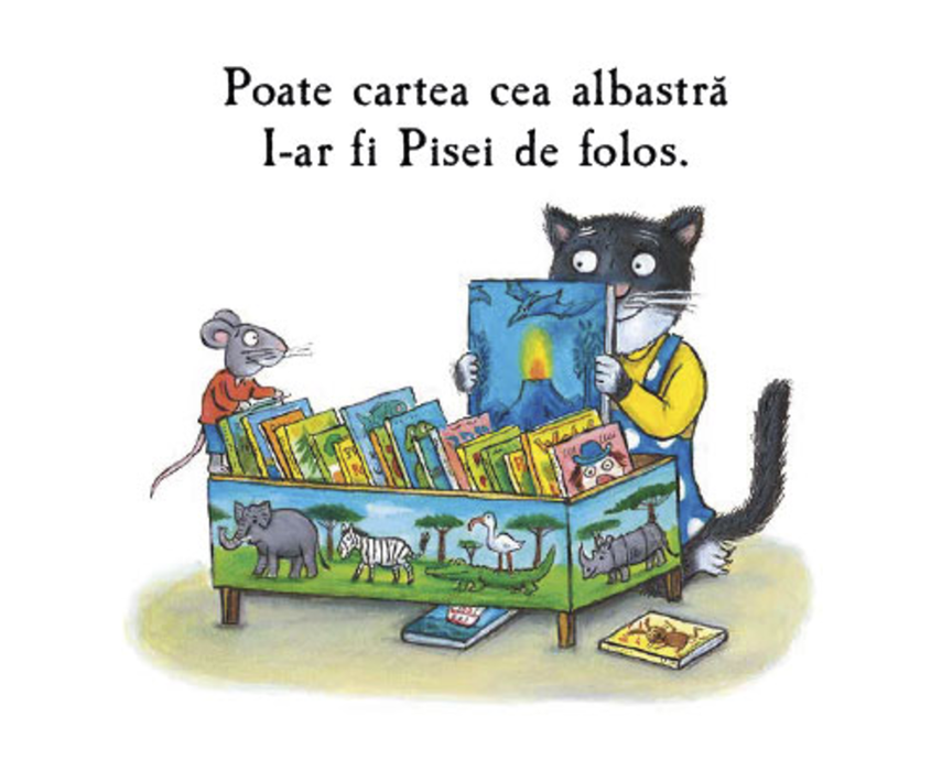 Pisa și cartea de bucate