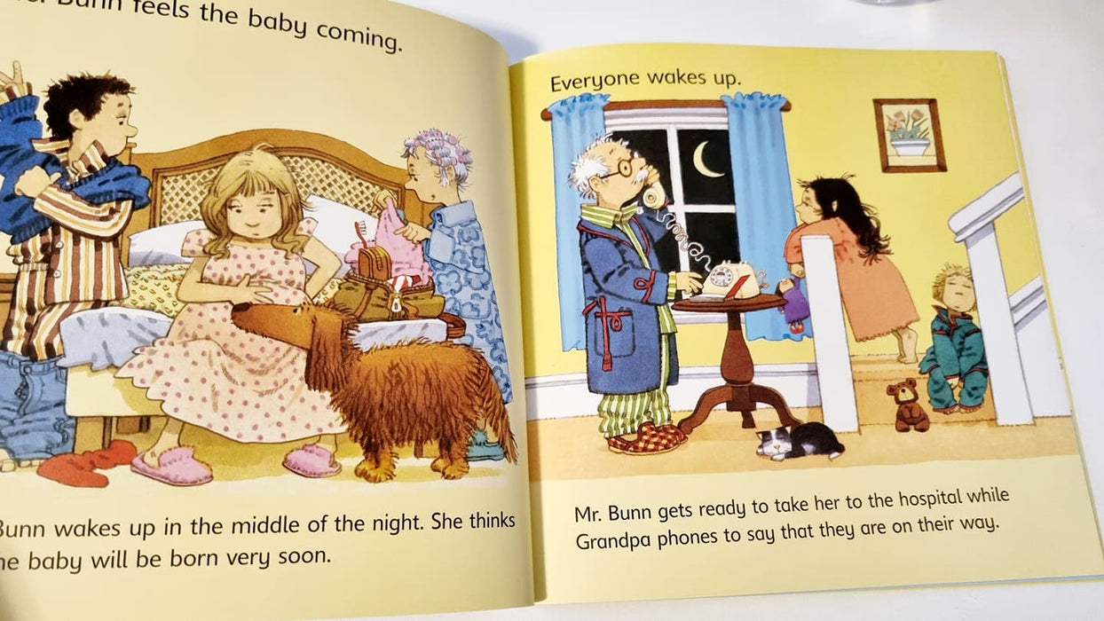 Usborne First Experiences - The new baby